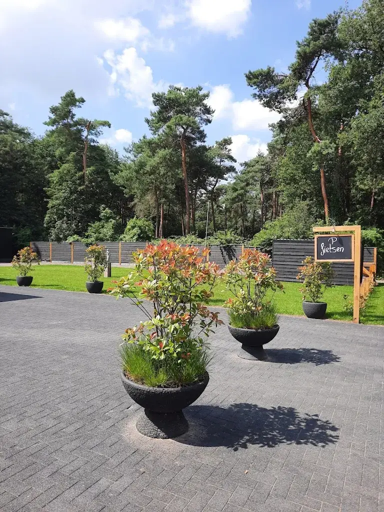 Ans van Rijbroek_Café Stanserhorn_Dinther_review