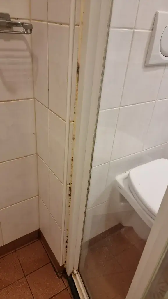 Erika Gracés_De Guldenberg_Helvoirt_review