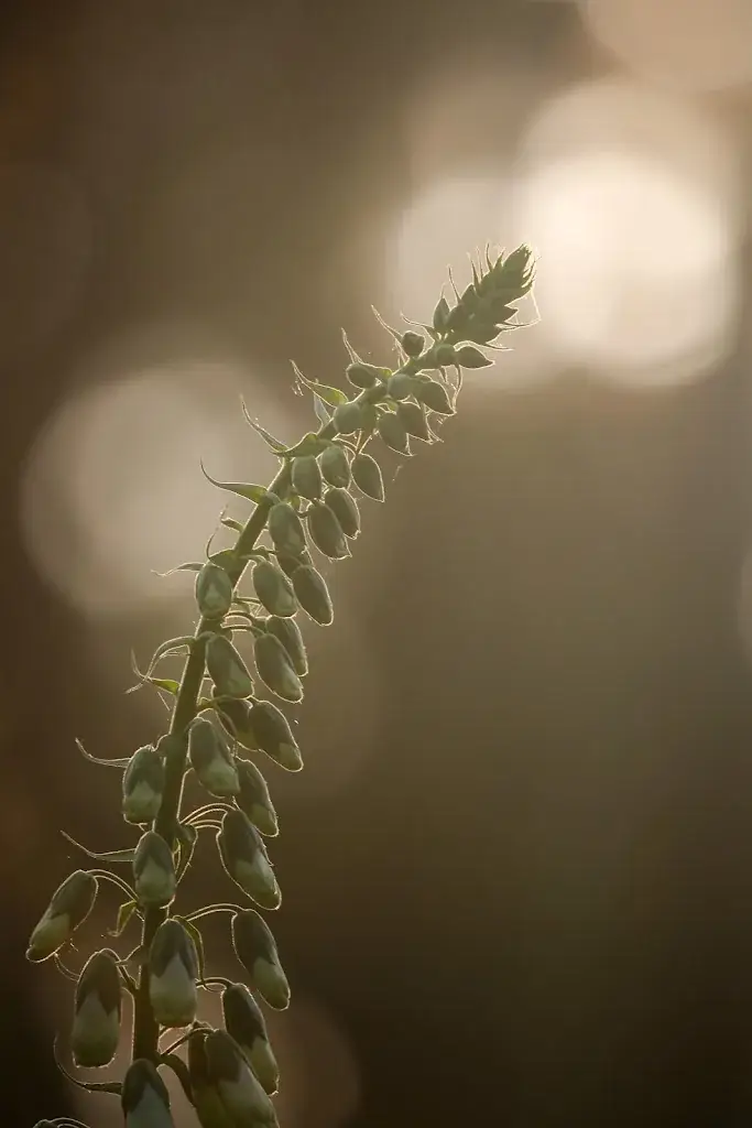 maikel de bakker_De Rustende Jager_Biezenmortel_review