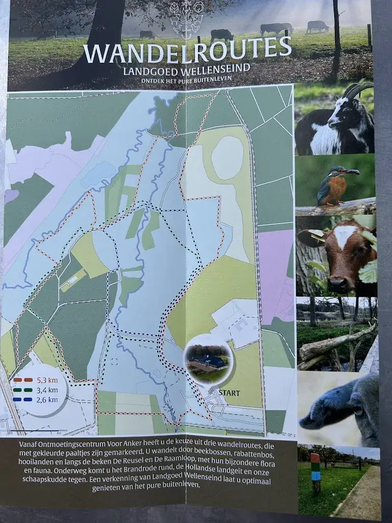 Dennis van Heugten_Ontmoetingscentrum Voor Anker_Mierde_review