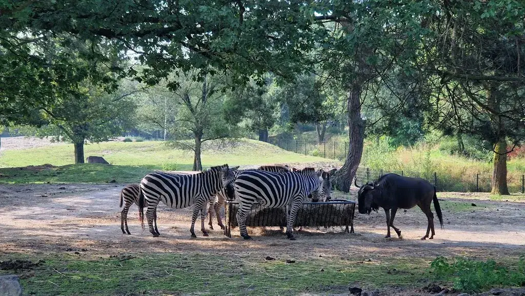 Jeroen “Joey Amsterdam” K_Hogon House_Hilvarenbeek_review