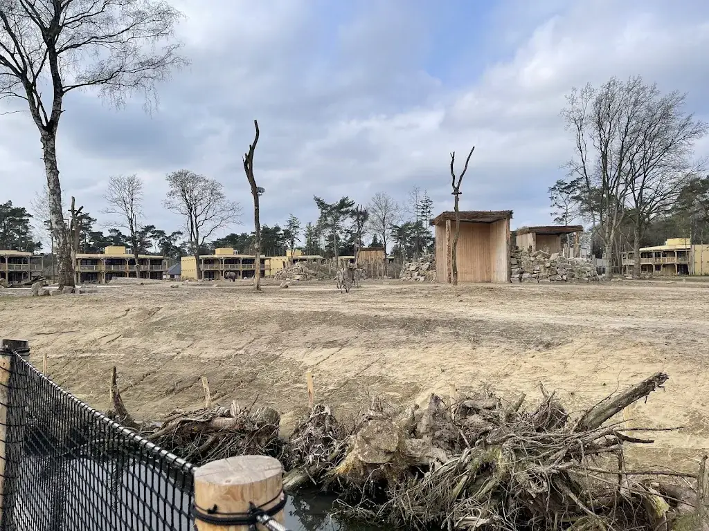 Taha Pollmann_Hogon House_Hilvarenbeek_review