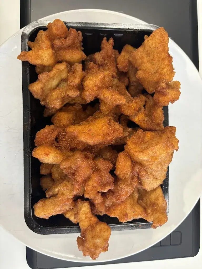 Bas van der Burgh_Fish palace_Rotterdam_review