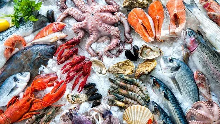 Fish palace_Rotterdam_slider_image_2