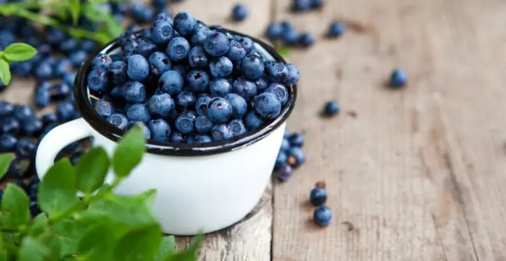 De Blaauwe Bes_Langenboom_slider_image_2