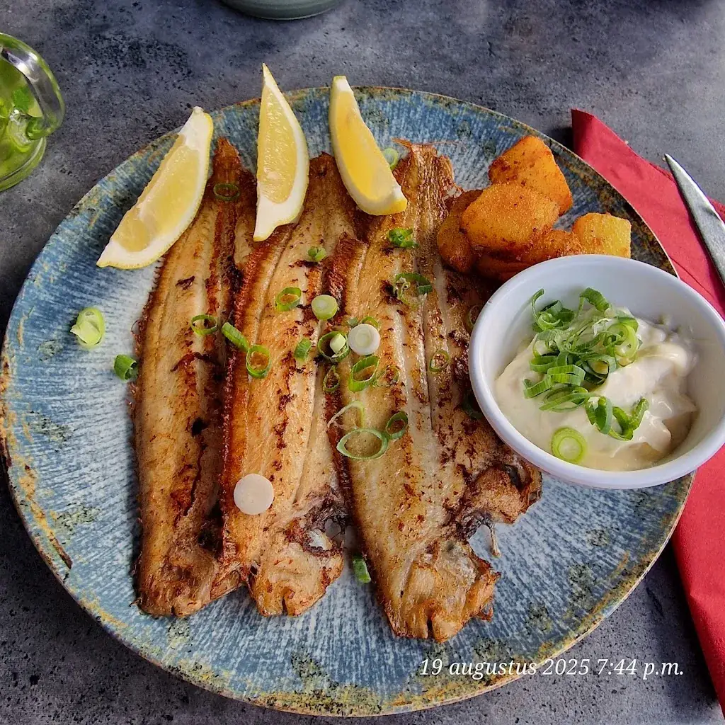 Luc Marjan Robert_De Sinjoor_Roosendaal_review