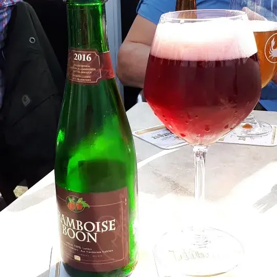 Laura van Nijnatten_Bier - Eetcafé - Biljartcentrum Den Hoek_Zundert_review