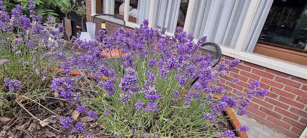 De Tijd Café-eet en feestgelegenheid_Rijsbergen_slider_image_1