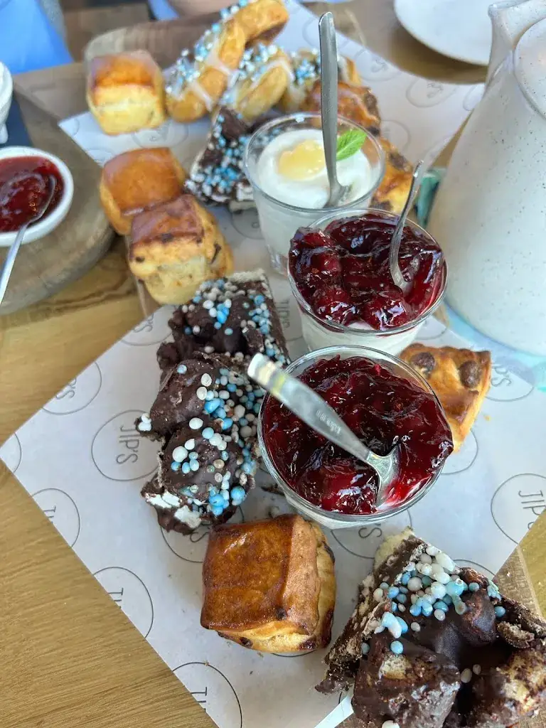 Jasmine van Rossem - Lammerts van Bueren_JIP's_Lith_review