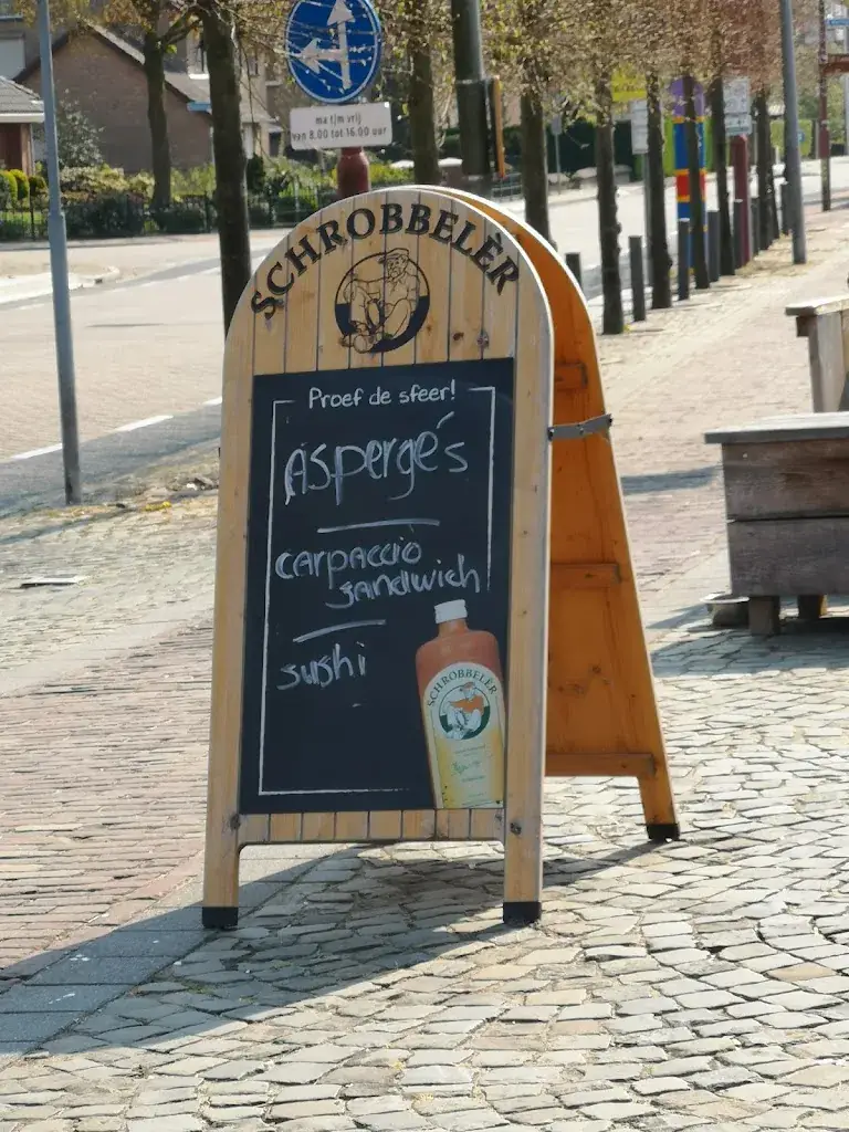 Maurice oudsen_Hertog Jan van Brabant_Lith_review