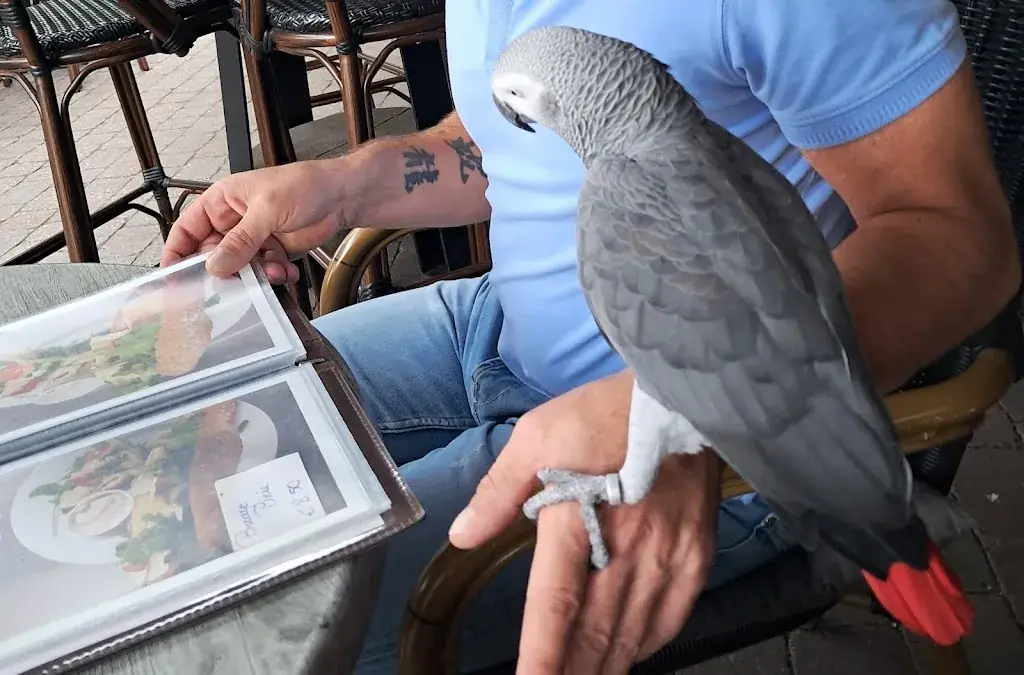 Yvonne Merkx_Ons Lieske_Maarheeze_reseña