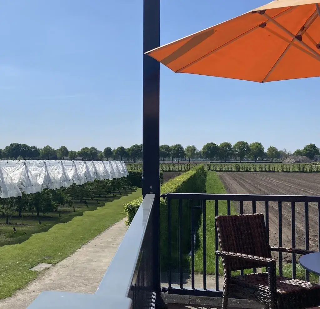 Alex Lamarra_Hof van Huijbers_Mierlo_reseña