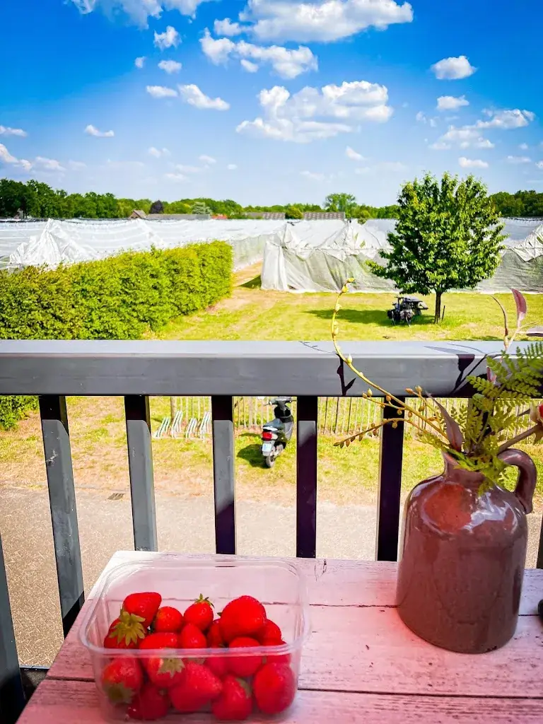 Chris C._Hof van Huijbers_Mierlo_reseña