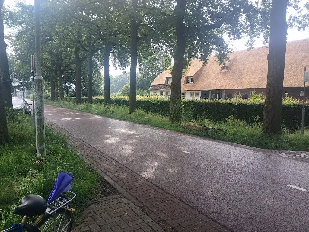 Brian Colak_Wasven_Eindhoven_review