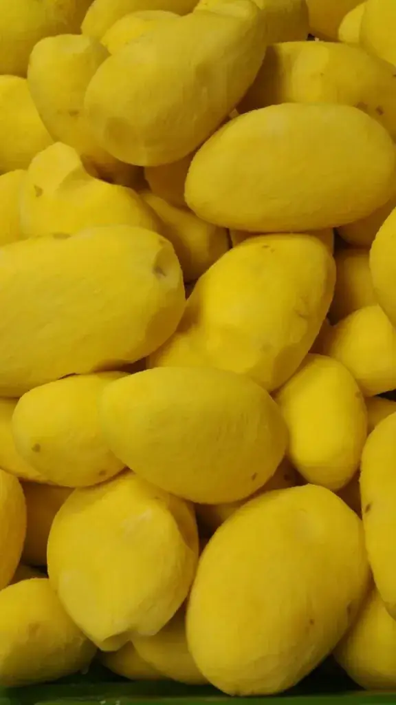 Menu_Cafetaria Lily (eigengemaakte friet)_Zand_image_4