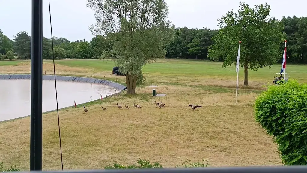 Dimples Restaurant | Brasserie_Best_slider_image_2