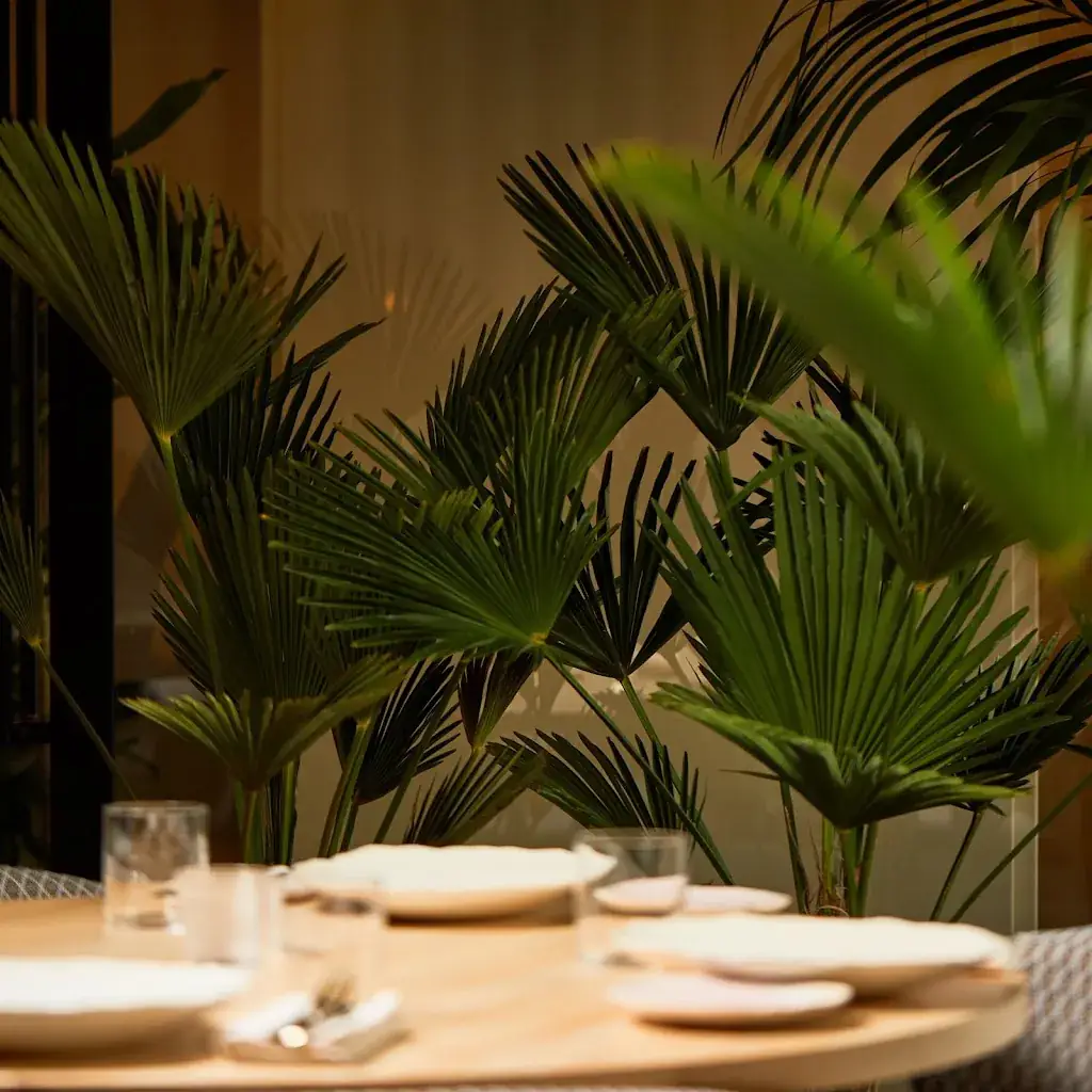 KAIA Contemporary Greek restaurant in Amsterdam