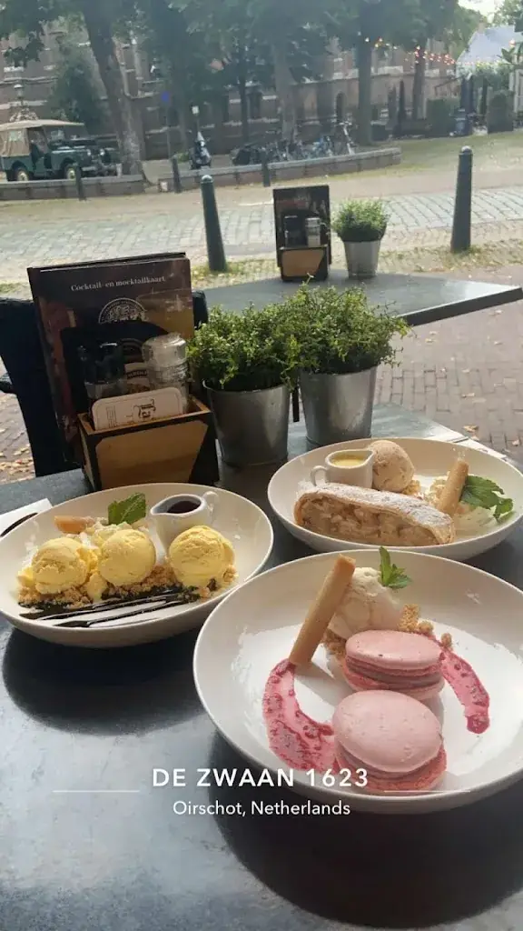 Corvii_SNTZL - De Zwaan_Oirschot_review