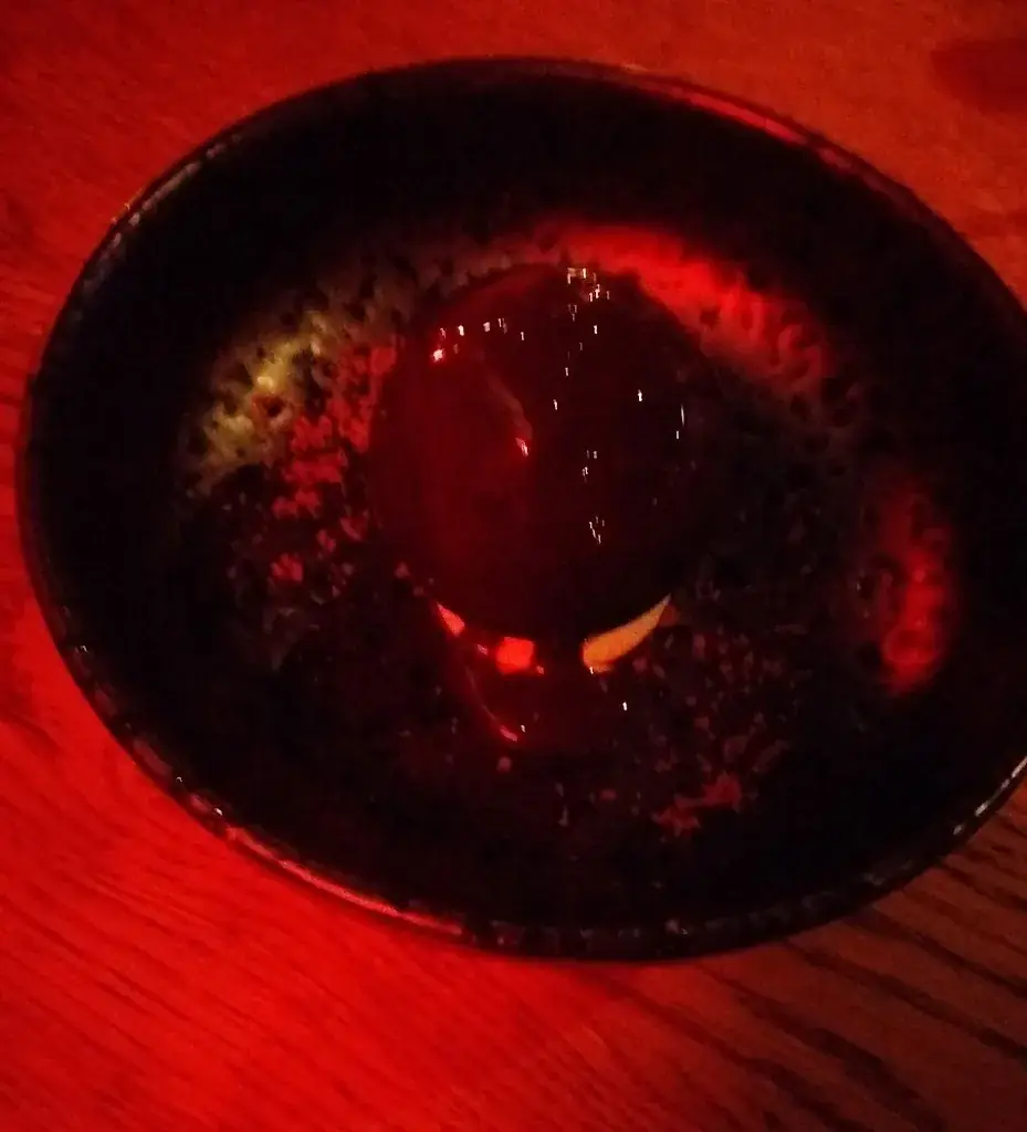 Ricardo Bloks_Finch Gastrobar_Oss_review