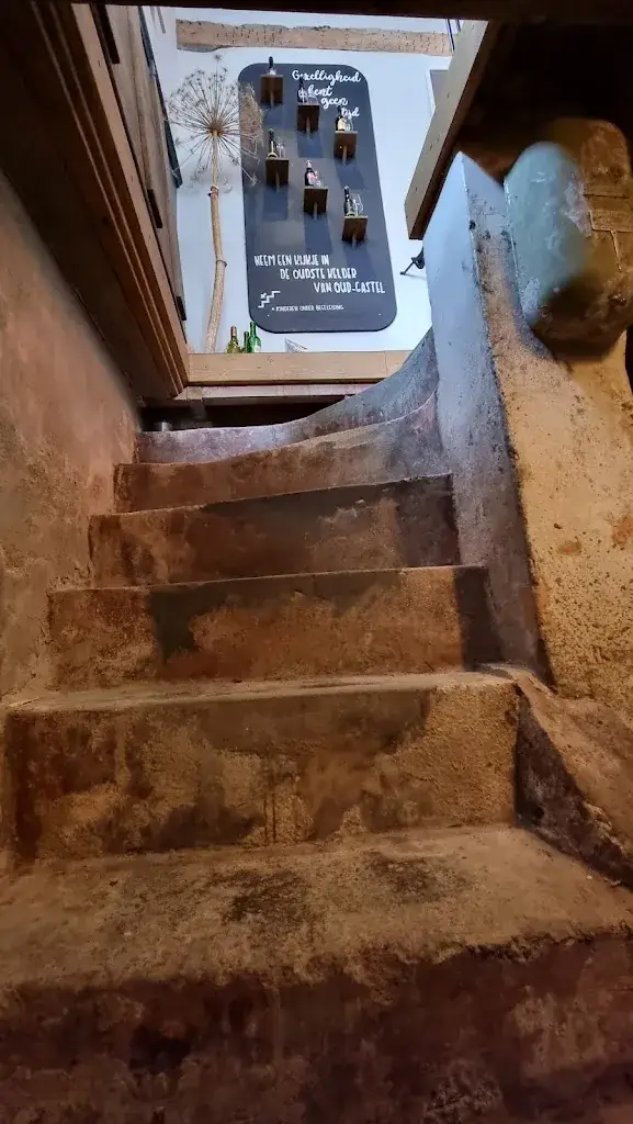 Rini Traets_Onder de Toren_Gastel_review