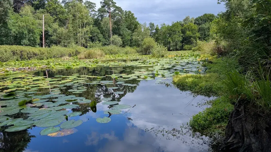 Francina S_Boshuis Venkraai_Oisterwijk_review