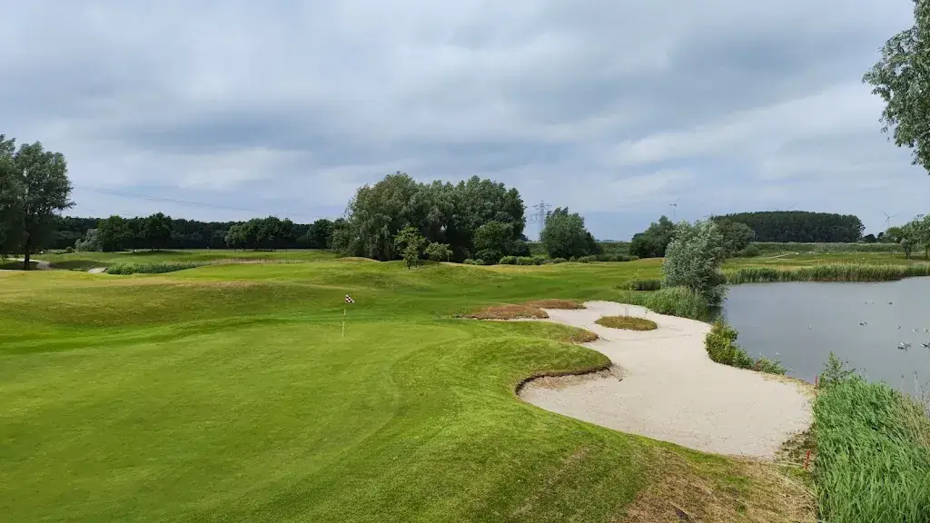 Auke van Muiswinkel_LOOF! Roosendaal_Roosendaal_review