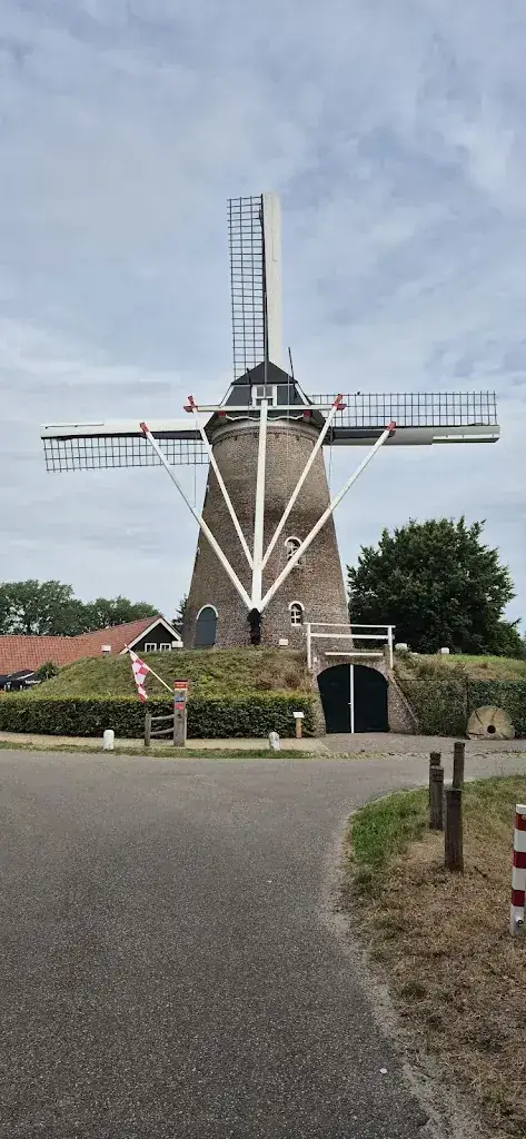 gerty van bergen_De Grote Molen_Rucphen_review