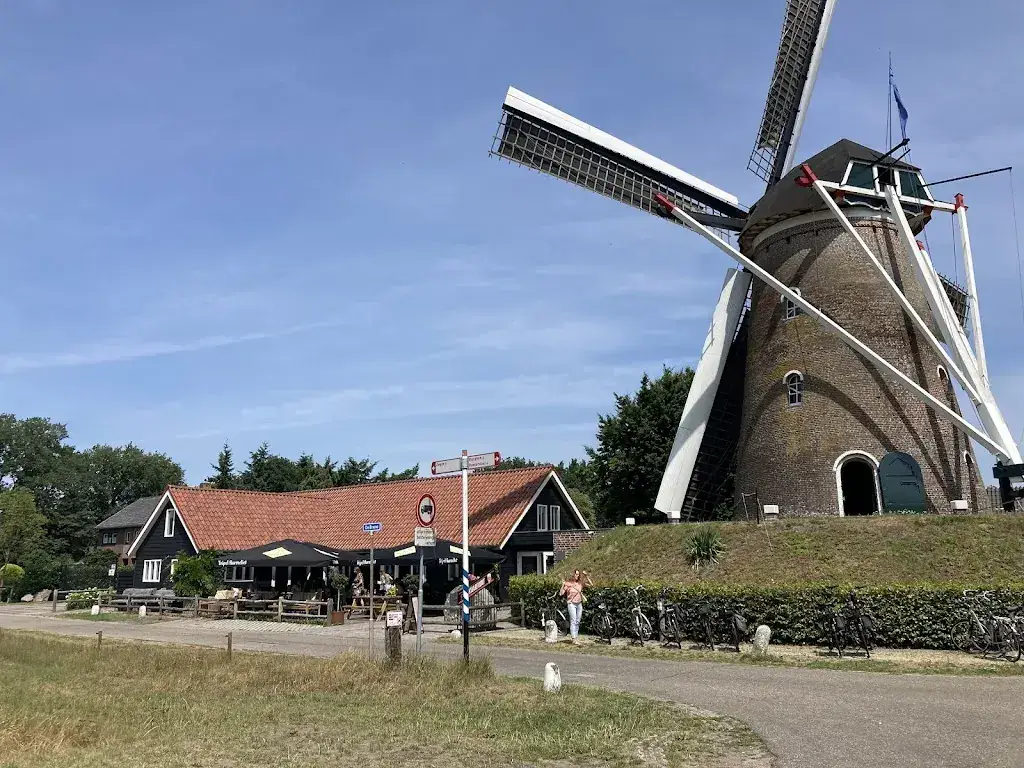 Ton Jongeneelen_De Grote Molen_Rucphen_review