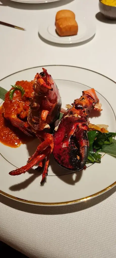 Yannick Vanhooren_O&O_Willebrord_review