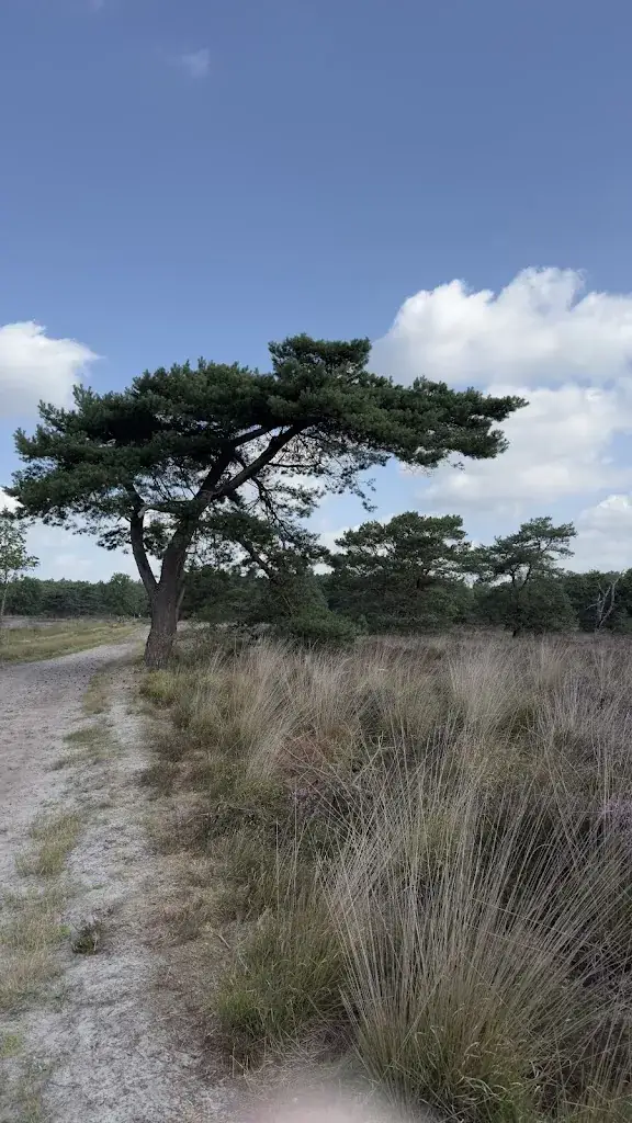 Ariane van Doorn_'t Ossekopke_Rucphen_Bewertung