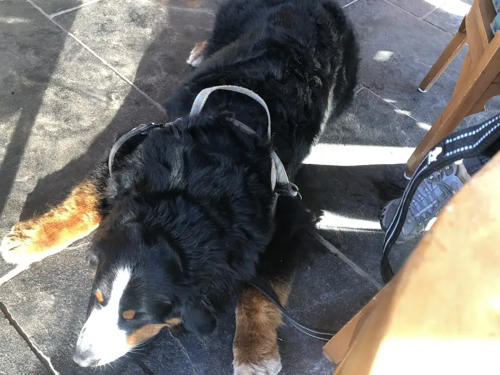 Hans Beks_Boscafé De Soete Inval Someren_Someren_recensione