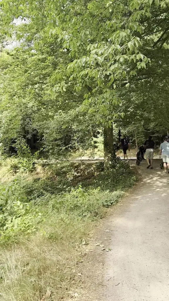 Halbo van der Klaauw_Golfpark De Haenen_Teteringen_review