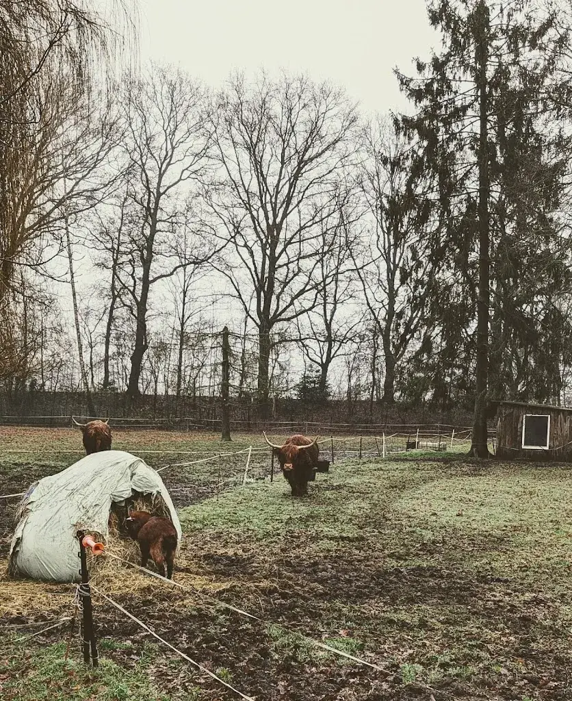 Haanwijk restaurant in Sint-Michielsgestel