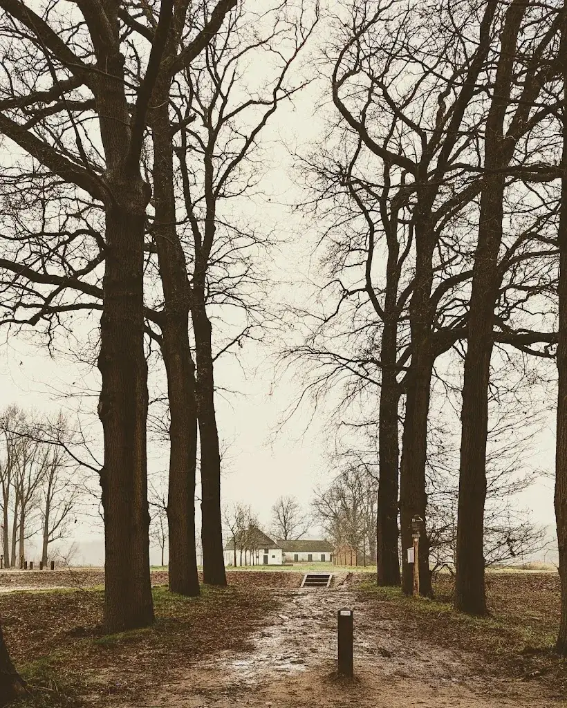 Haanwijk_Sint-Michielsgestel_slider_image_2