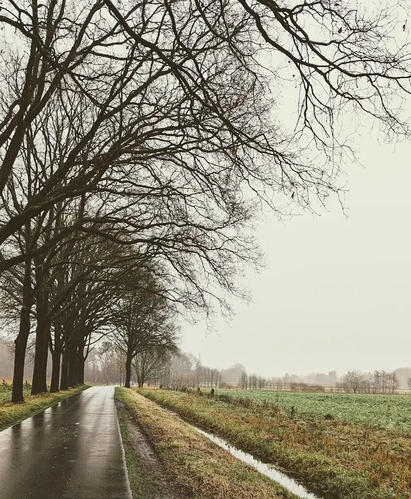 Haanwijk_Sint-Michielsgestel_slider_image_3