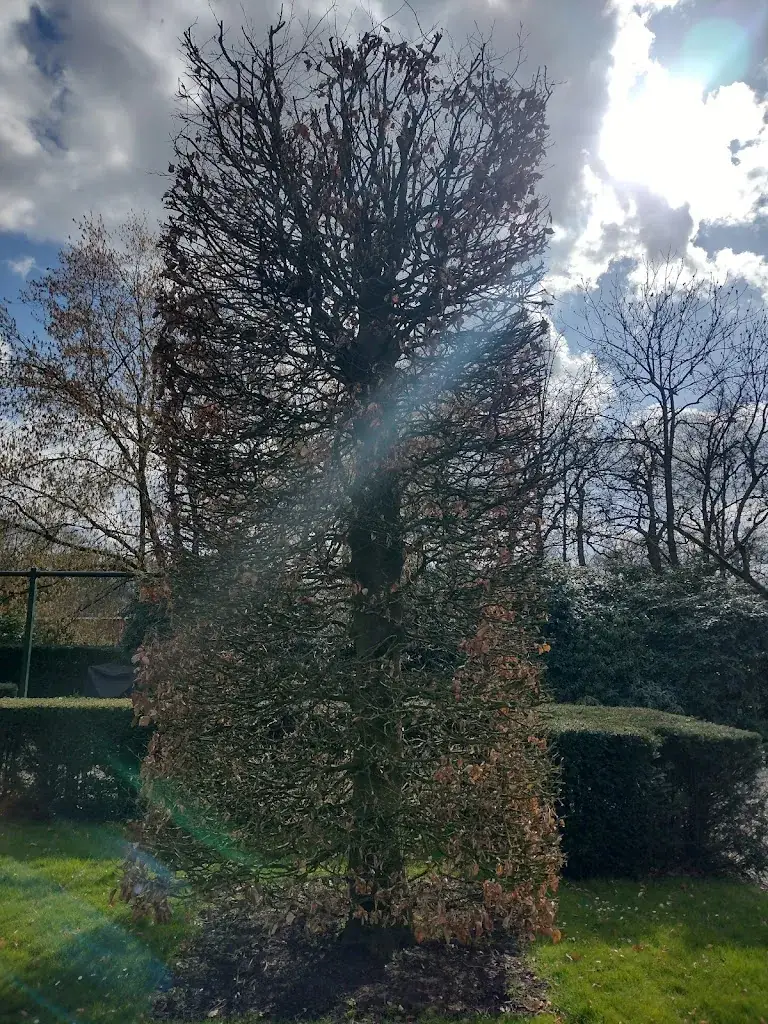 Lord Skratch_Kasteel Maurick Restaurant_Vught_review