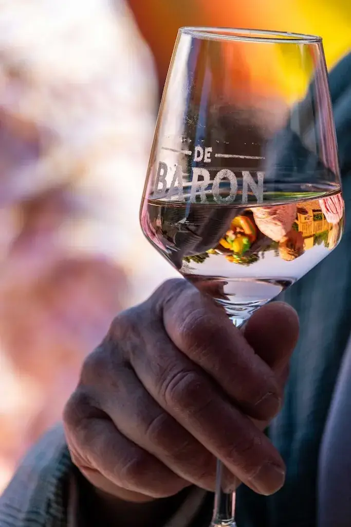 de Baron Udenhout_Udenhout_slider_image_2