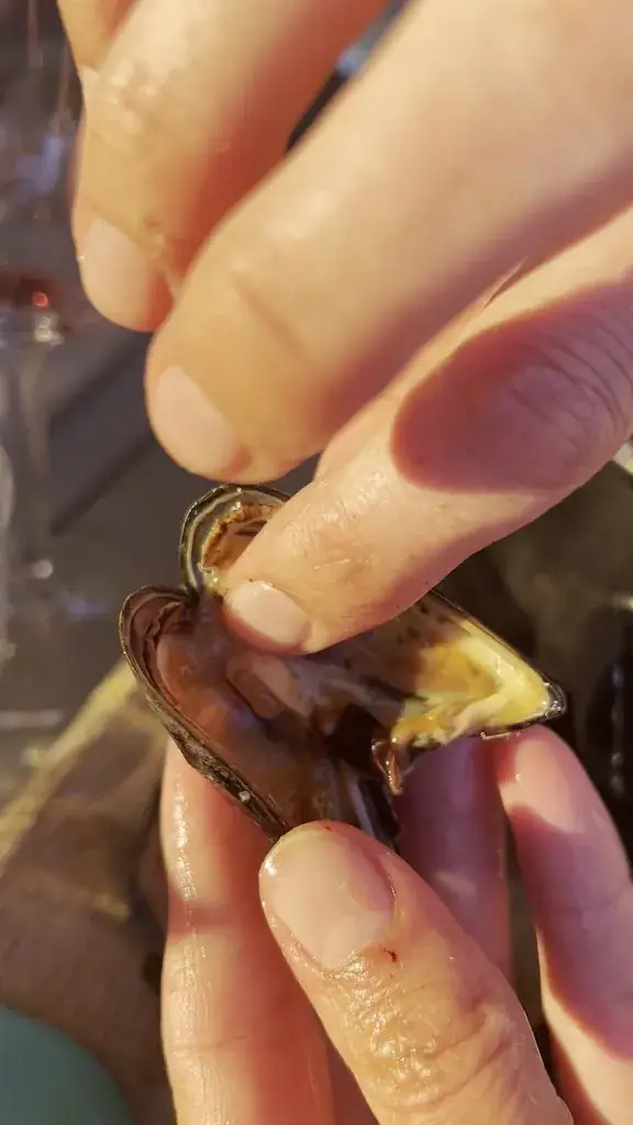 Stark Burns_'t Schippershuis_Terherne_review