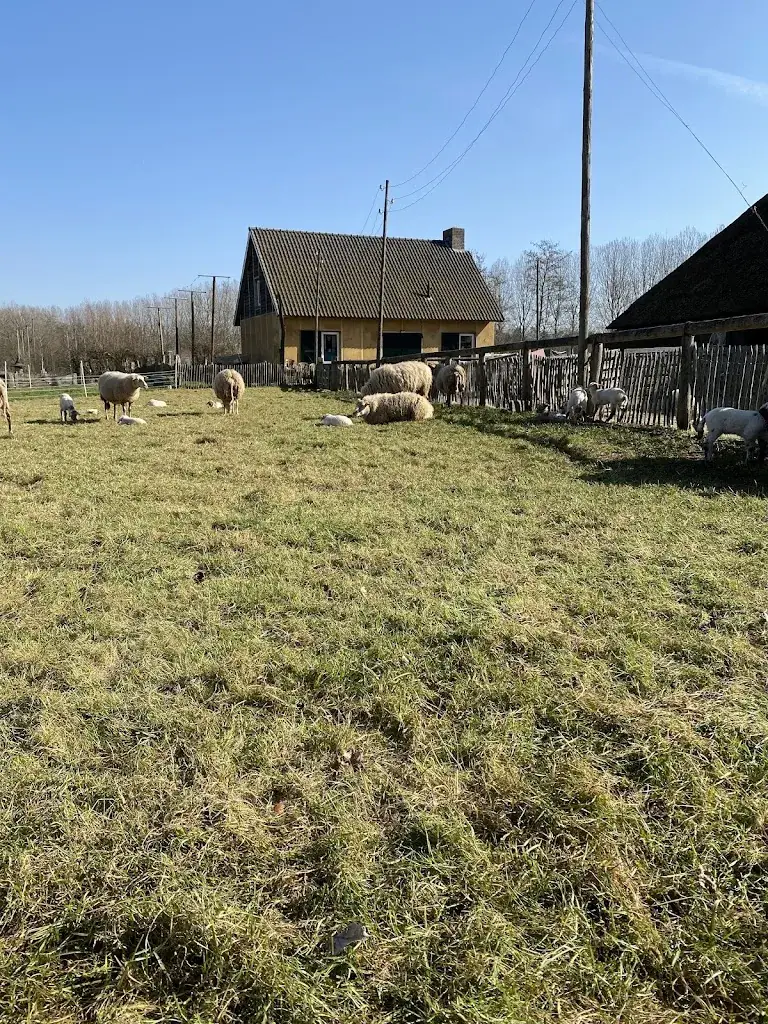 Frank van Kempen_Skupke Schaapskooi Schijndel_Schijndel_review