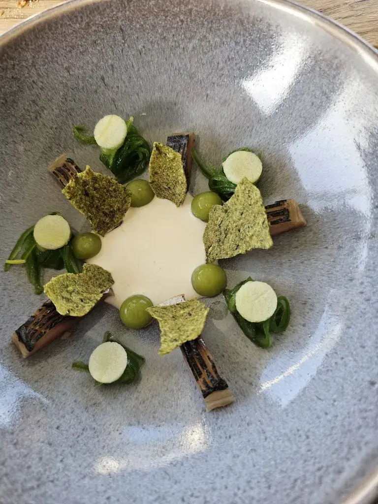 Menu_Katseveer_Wilhelminadorp_imagen_6