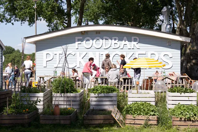 Picknickers_Terherne_slider_image_3