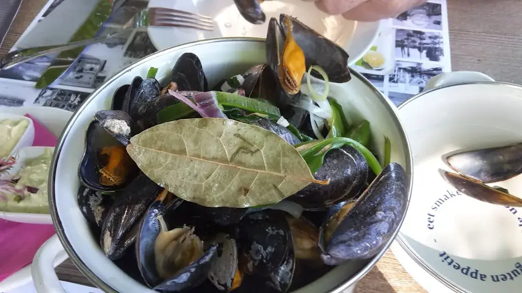 kTe Tikledsreisen_._Wilhelminadorp_review