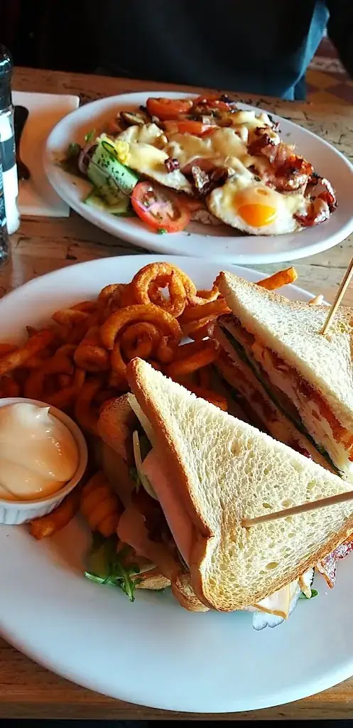 Tanja Ojsteršek_De Colonie 's Graveland_'s-Graveland_recensione