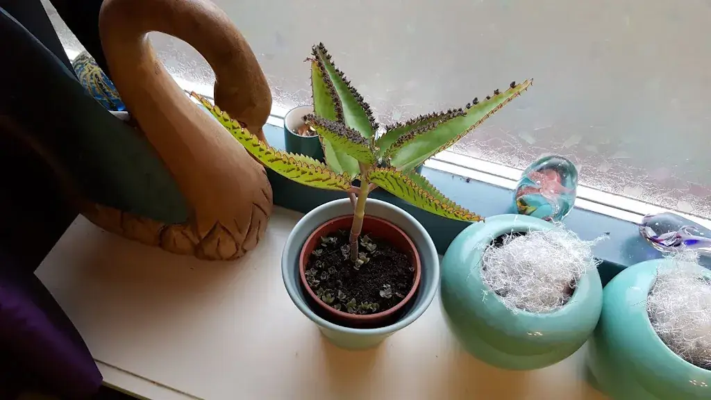 Café De Stompe Toren_Aartswoud_slider_image_2