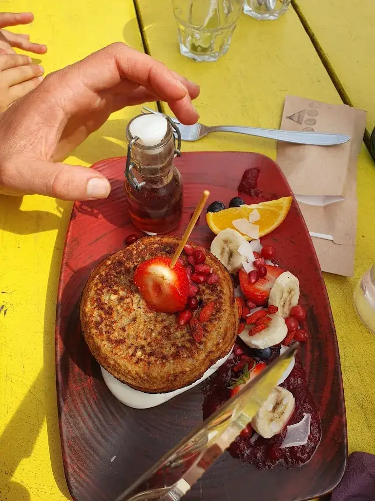 Gil de Jong_JOOP Schoorl_Schoorl_reseña