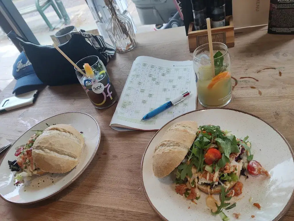 Adrian 2.0_Widewood_Schoorl_review