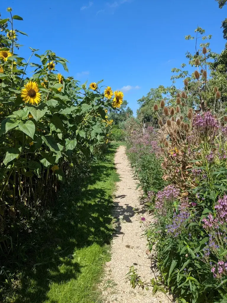 Tula Kaptein_Kardeis_Schoorl_review