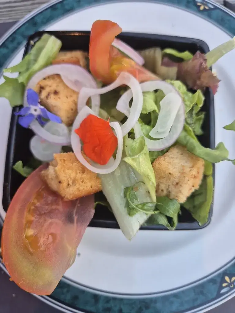 Sandra Frantzen_Café‚ Restaurant 'De Driemaster'_Medemblik_review