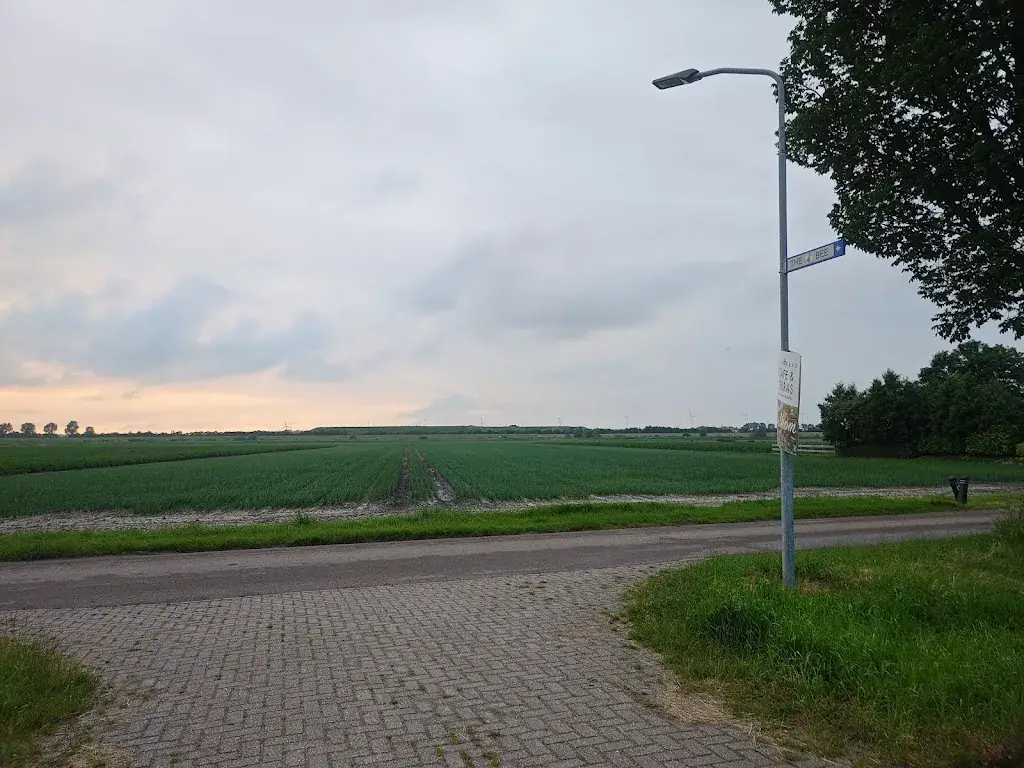 Adriel Sanchez_THE BEE_Opperdoes_review