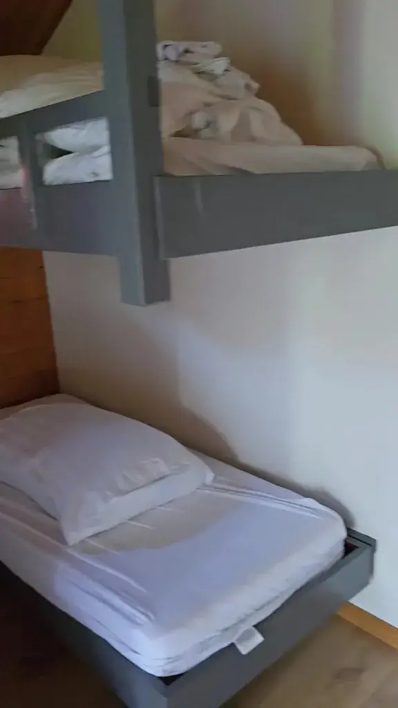 THE BEE_Opperdoes_slider_image_2